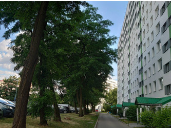 Mieszkanie łódzkie
Łódź
Bałuty Na sprzedaż 350 000 PLN 45 m2 