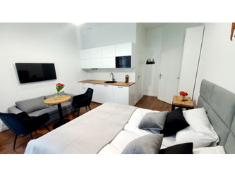 Mieszkanie wielkopolskie
Poznań Do wynajęcia 2100 PLN 28 m2 