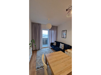 Mieszkanie mazowieckie
Warszawa
Praga-Południe Do wynajęcia 2600 PLN 28 m2 