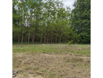 Działka lubuskie
międzyrzecki
Trzciel
Trzciel Na sprzedaż 149 900 PLN 892 m2 