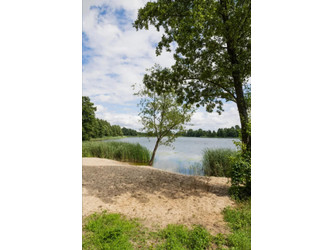 Działka kujawsko-pomorskie
radziejowski
Topólka
Rybiny Na sprzedaż 98 000 PLN 997 m2 