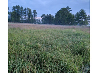 Działka małopolskie
krakowski
Zielonki
Węgrzce Na sprzedaż 180 000 PLN 1700 m2 