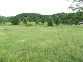 Działka dolnośląskie
karkonoski
Mysłakowice
Dąbrowica Na sprzedaż 196 PLN 2377 m2 