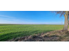 Działka lubelskie
krasnostawski
Żółkiewka
Rożki-Kolonia Na sprzedaż 221 340 PLN 47 600 m2 