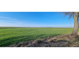 Działka lubelskie
krasnostawski
Żółkiewka
Rożki-Kolonia Na sprzedaż 221 340 PLN 47 600 m2 