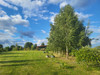 Działka kujawsko-pomorskie
lipnowski
Kikół
Jarczechowo Na sprzedaż 618 000 PLN 4127 m2 