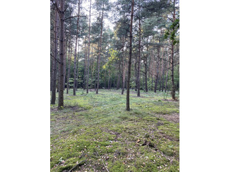 Działka mazowieckie
otwocki
Józefów Na sprzedaż 1 175 000 PLN 1520 m2 