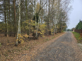 Działka łódzkie
zgierski
Ozorków
Helenów Na sprzedaż 161 500 PLN 850 m2 