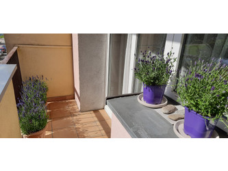 Mieszkanie zachodniopomorskie
Szczecin
Pomorzany Na sprzedaż 433 333 PLN 48 m2 