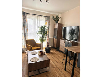 Mieszkanie śląskie
Katowice Do wynajęcia 2200 PLN 40,5 m2 