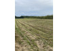 Działka mazowieckie
grójecki
Chynów
Jakubowizna Na sprzedaż 230 000 PLN 1300 m2 
