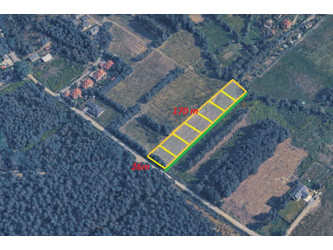 Działka podkarpackie
rzeszowski
Głogów Małopolski
Wysoka Głogowska Na sprzedaż 162 500 PLN 45 000 m2 