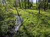 Działka mazowieckie
pułtuski
Obryte
Zambski Stare Na sprzedaż 299 000 PLN 9428 m2 