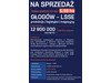 Działka dolnośląskie
głogowski
Głogów Na sprzedaż 12 900 000 PLN 53 900 m2 