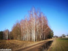 Działka mazowieckie
nowodworski
Nasielsk
Nasielsk Na sprzedaż 89 000 PLN 5778 m2 