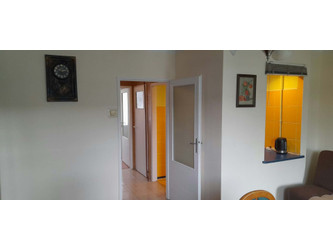 Mieszkanie małopolskie
Kraków
Grzegórzki Do wynajęcia 2100 PLN 44 m2 
