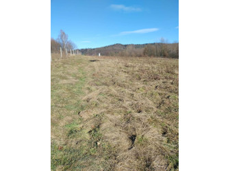 Działka małopolskie
tarnowski
Zakliczyn
Ruda Kameralna Na sprzedaż 72 000 PLN 3026 m2 