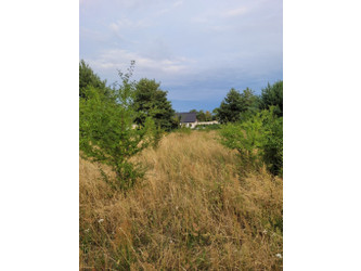 Działka lubuskie
gorzowski
Witnica
Mościczki Na sprzedaż 60 000 PLN 997 m2 