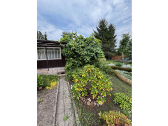 Działka łódzkie
Łódź
Śródmieście Na sprzedaż 50 000 PLN 499 m2 