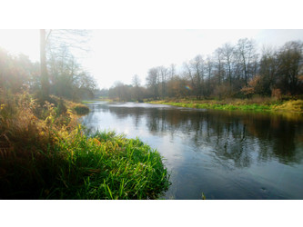 Działka mazowieckie
płoński
Joniec
Popielżyn-Zawady Na sprzedaż 456 000 PLN 4828 m2 