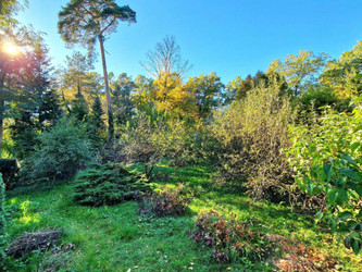 Działka mazowieckie
piaseczyński
Piaseczno
Piaseczno Na sprzedaż 1 065 000 PLN 1185 m2 