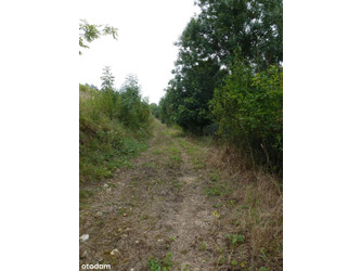 Działka małopolskie
krakowski
Zielonki
Zielonki Na sprzedaż 125 000 PLN 5000 m2 