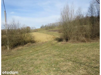 Działka małopolskie
gorlicki
Łużna
Biesna Na sprzedaż 83 230 PLN 73 478 m2 