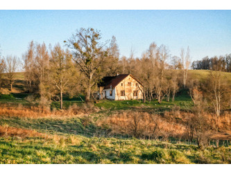 Dom warmińsko-mazurskie
bartoszycki
Górowo Iławeckie
Grotowo Na sprzedaż 159 000 PLN 120 m2 