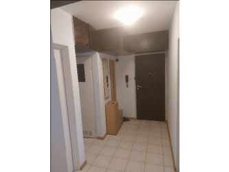 Mieszkanie łódzkie
Łódź
Górna Do wynajęcia 1800 PLN 60 m2 