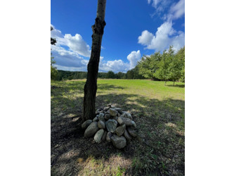 Działka wielkopolskie
międzychodzki
Sieraków
Chalin Na sprzedaż 600 000 PLN 3400 m2 