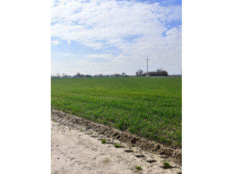 Działka mazowieckie
warszawski zachodni
Kampinos
Prusy Na sprzedaż 200 000 PLN 3100 m2 