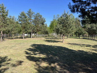 Działka mazowieckie
płoński
Nowe Miasto
Grabie Na sprzedaż 220 000 PLN 2000 m2 