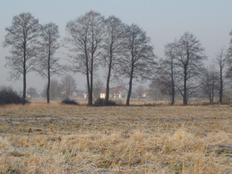 Działka mazowieckie
legionowski
Nieporęt
Izabelin Na sprzedaż 10 000 000 PLN 20 447 m2 