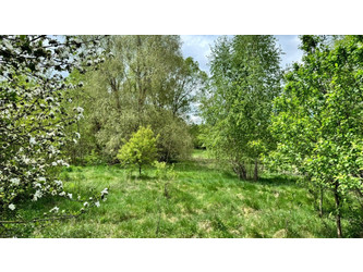 Działka mazowieckie
mławski
Strzegowo
Rydzyn Szlachecki Na sprzedaż 420 000 PLN 17 400 m2 