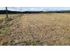 Działka pomorskie
bytowski
Trzebielino
Zielin Na sprzedaż 105 000 PLN 1769 m2 