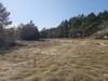Działka kujawsko-pomorskie
toruński
Wielka Nieszawka
Cierpice
Kąkol Na sprzedaż 498 381 PLN 2949 m2 