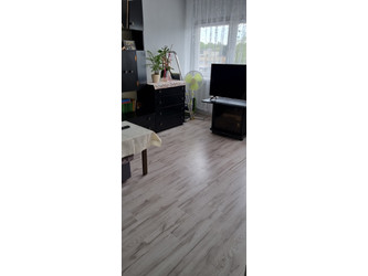 Mieszkanie łódzkie
Łódź
Widzew
Stary Widzew Na sprzedaż 220 000 PLN 27 m2 