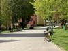 Mieszkanie podkarpackie
Rzeszów Do wynajęcia 2000 PLN 77 m2 