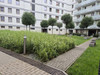 Mieszkanie mazowieckie
Warszawa Do wynajęcia 3300 PLN 45 m2 
