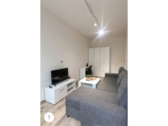 Pokój wielkopolskie
Poznań
Piątkowo Do wynajęcia 1100 PLN 