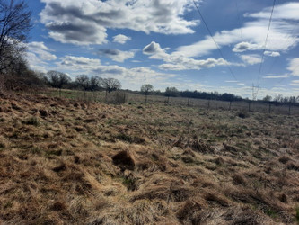 Działka lubelskie
rycki
Dęblin Na sprzedaż 1 000 000 PLN 32 207 m2 