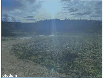 Działka małopolskie
chrzanowski
Chrzanów
Chrzanów Na sprzedaż 8884 PLN 20 809 m2 