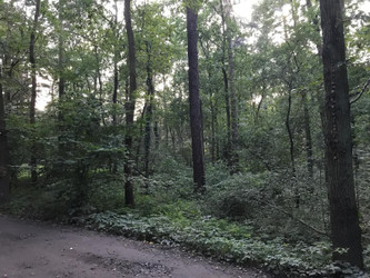 Działka mazowieckie
pruszkowski
Raszyn
Sękocin-Las Na sprzedaż 1 050 000 PLN 1556 m2 