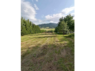 Działka małopolskie
limanowski
Limanowa
Rupniów Na sprzedaż 170 000 PLN 1918 m2 