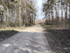 Działka łódzkie
pabianicki
Lutomiersk
Prusinowice Na sprzedaż 379 000 PLN 4411 m2 