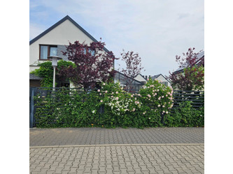 Dom dolnośląskie
wrocławski
Żórawina
Karwiany Na sprzedaż 1 999 000 PLN 169,37 m2 