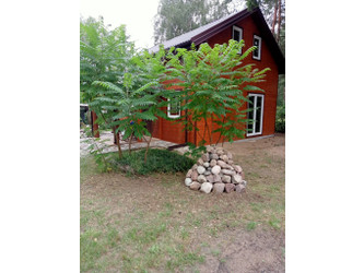 Dom mazowieckie
wołomiński
Dąbrówka
Ślężany Na sprzedaż 450 000 PLN 80 m2 