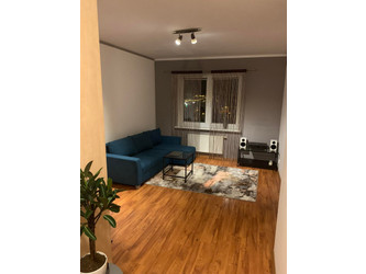 Mieszkanie wielkopolskie
Poznań
Winiary Do wynajęcia 1750 PLN 28,5 m2 