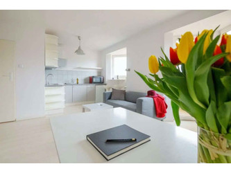 Mieszkanie dolnośląskie
Wrocław Do wynajęcia 2300 PLN 35 m2 