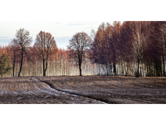 Działka mazowieckie
grodziski
Jaktorów
Jaktorów Na sprzedaż 2 500 000 PLN 19 142 m2 